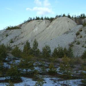 The Report about the Expedition in the Frame of the New Project „Tajga“