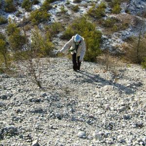 The Report about the Expedition in the Frame of the New Project „Tajga“