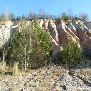 The Report about the Expedition in the Frame of the New Project „Tajga“