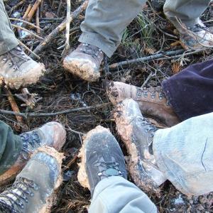 The Report about the Expedition in the Frame of the New Project „Tajga“