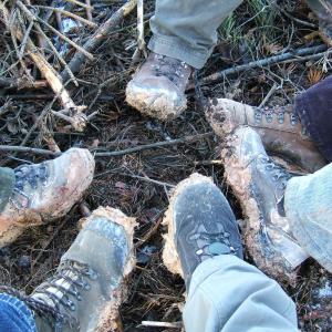 The Report about the Expedition in the Frame of the New Project „Tajga“