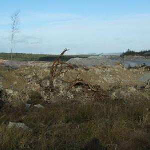 The Report about the Expedition in the Frame of the New Project „Tajga“