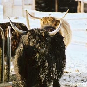 Hodnotící zpráva o expedici STORM