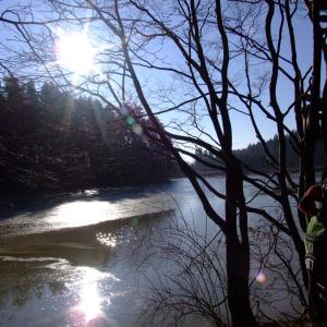 Report of the Third Expedition of the Taiga Project