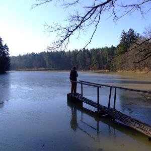 Report of the Third Expedition of the Taiga Project
