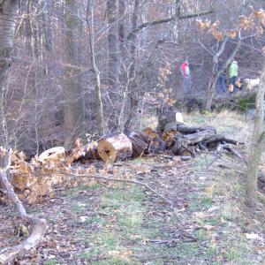 Report of the Third Expedition of the Taiga Project