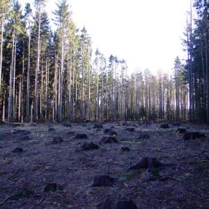 Report of the Third Expedition of the Taiga Project