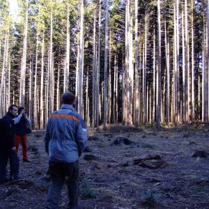 Report of the Third Expedition of the Taiga Project