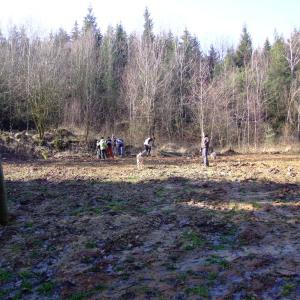 Report of the Third Expedition of the Taiga Project