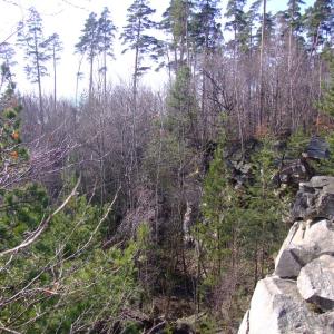 Report of the Third Expedition of the Taiga Project
