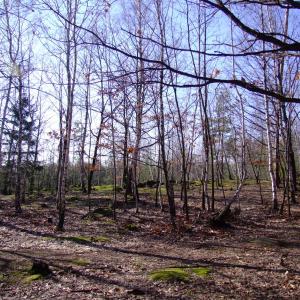 Report of the Third Expedition of the Taiga Project