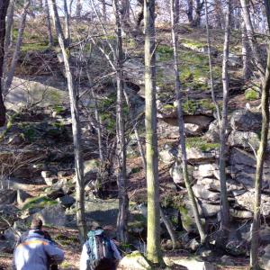 Report of the Third Expedition of the Taiga Project