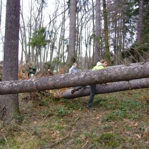 Report of the Third Expedition of the Taiga Project
