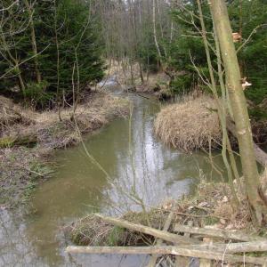 Report of the Third Expedition of the Taiga Project