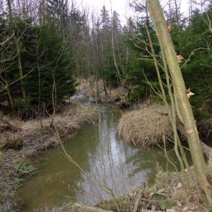 Report of the Third Expedition of the Taiga Project