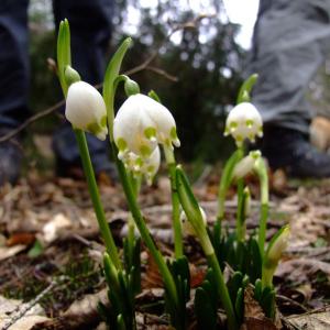 Report of the Third Expedition of the Taiga Project