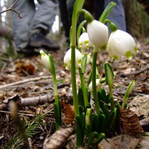 Hodnotící zpráva expedice Puchýř