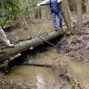 Report of the Third Expedition of the Taiga Project