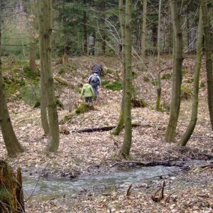 Report of the Third Expedition of the Taiga Project