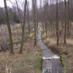 Report of the Third Expedition of the Taiga Project