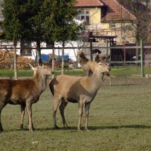 Report of the Third Expedition of the Taiga Project