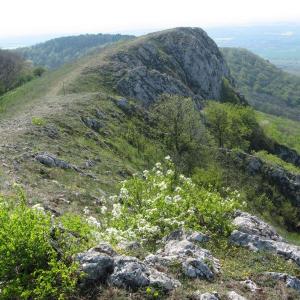 Hodnotící zpráva o expedici Bobr