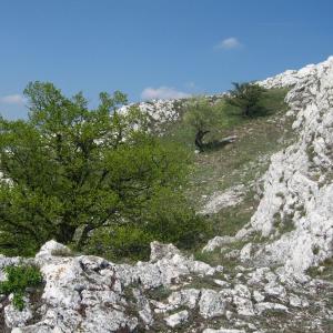 Hodnotící zpráva o expedici Bobr