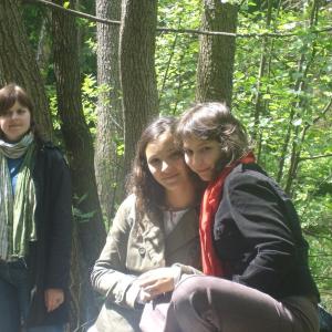 Kvinta hostila Francouze