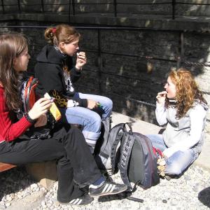 Kvinta hostila Francouze