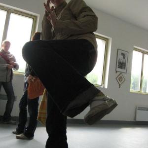 Kvinta hostila Francouze