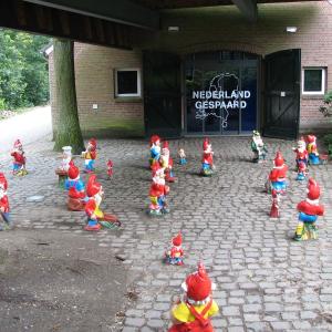 Studenti GKČD spolupracovali při návštěvě partnerského města Mierlo