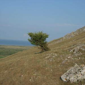 Ohlédnutí: Expedice Delta Dunaje 2007