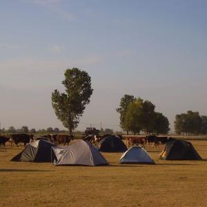 Ohlédnutí: Expedice Delta Dunaje 2007
