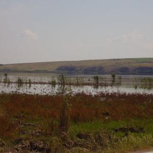 Ohlédnutí: Expedice Delta Dunaje 2007