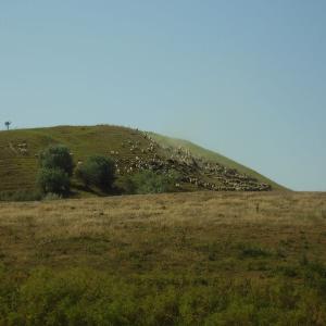 Ohlédnutí: Expedice Delta Dunaje 2007