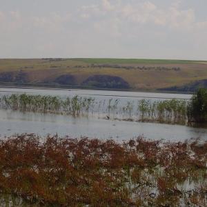 Ohlédnutí: Expedice Delta Dunaje 2007
