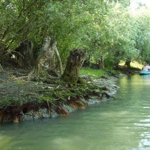 Ohlédnutí: Expedice Delta Dunaje 2007
