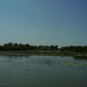 Ohlédnutí: Expedice Delta Dunaje 2007