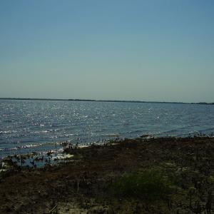 Ohlédnutí: Expedice Delta Dunaje 2007