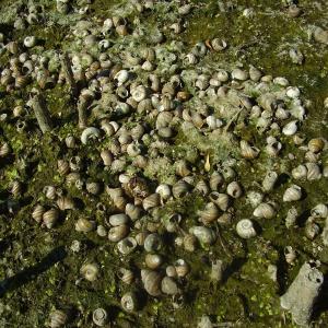 Ohlédnutí: Expedice Delta Dunaje 2007