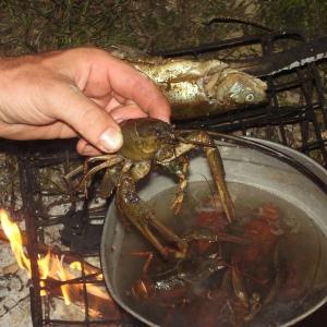 Ohlédnutí: Expedice Delta Dunaje 2007