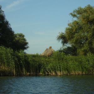 Ohlédnutí: Expedice Delta Dunaje 2007