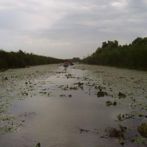 Ohlédnutí: Expedice Delta Dunaje 2007