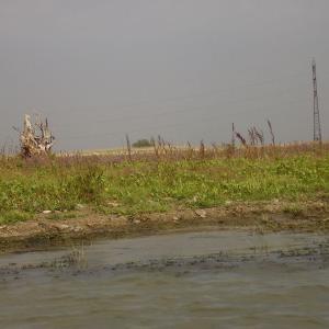Ohlédnutí: Expedice Delta Dunaje 2007
