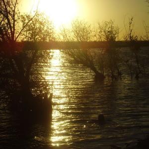 Ohlédnutí: Expedice Delta Dunaje 2007