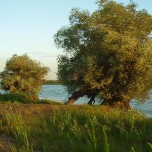 Ohlédnutí: Expedice Delta Dunaje 2007