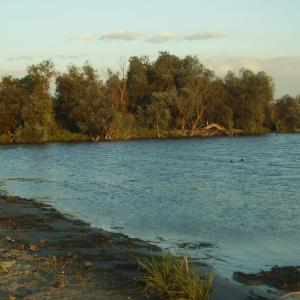 Ohlédnutí: Expedice Delta Dunaje 2007