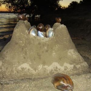 Ohlédnutí: Expedice Delta Dunaje 2007