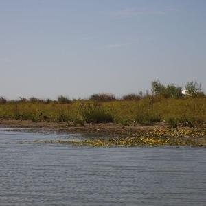 Ohlédnutí: Expedice Delta Dunaje 2007