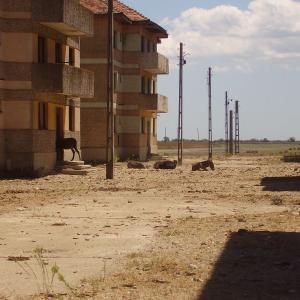 Ohlédnutí: Expedice Delta Dunaje 2007